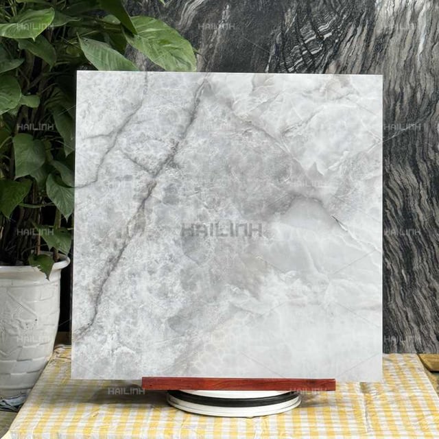 Ảnh Gạch Ấn Độ CSI88187 3