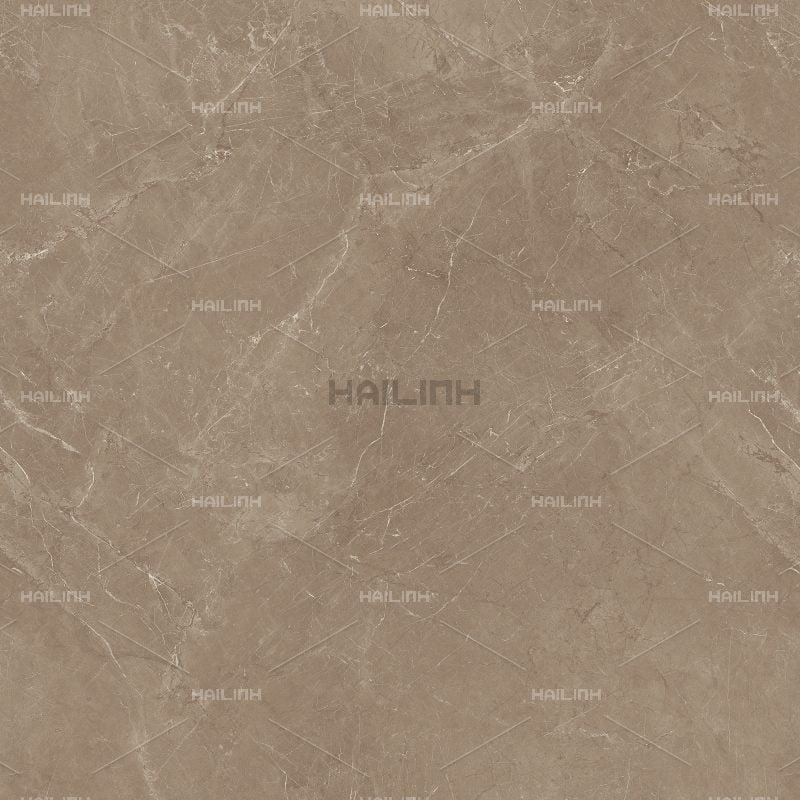 Ảnh Gạch Ấn Độ CSI88188 4