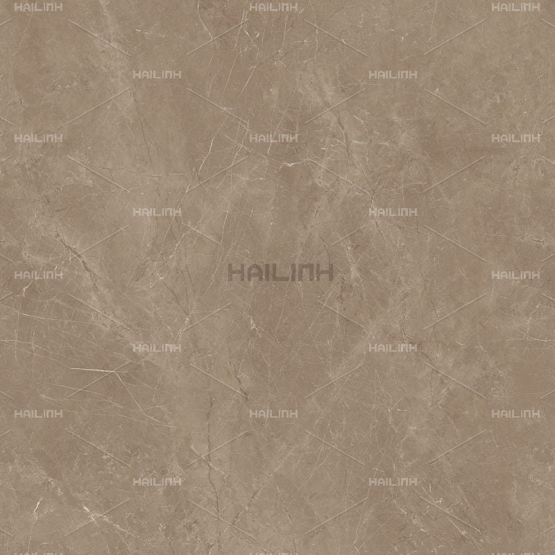 Ảnh Gạch Ấn Độ CSI88188 2