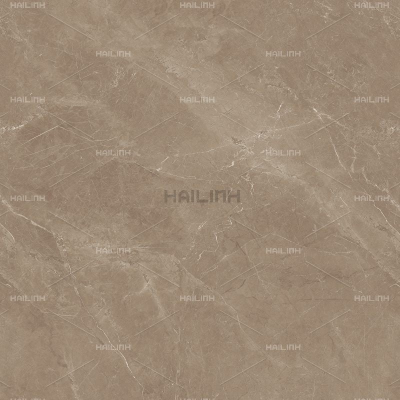 Ảnh Gạch Ấn Độ CSI88188 3