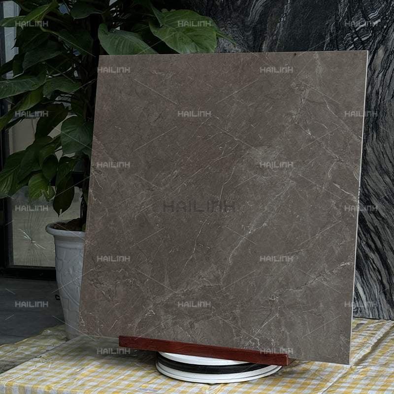 Ảnh Gạch Ấn Độ CSI88188 7