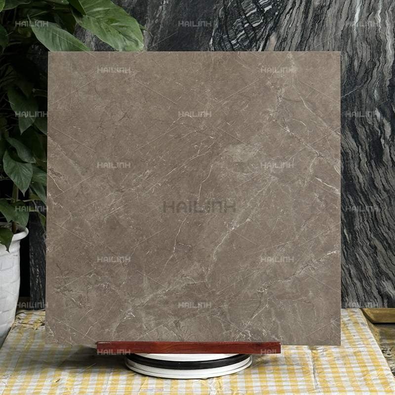 Ảnh Gạch Ấn Độ CSI88188 6