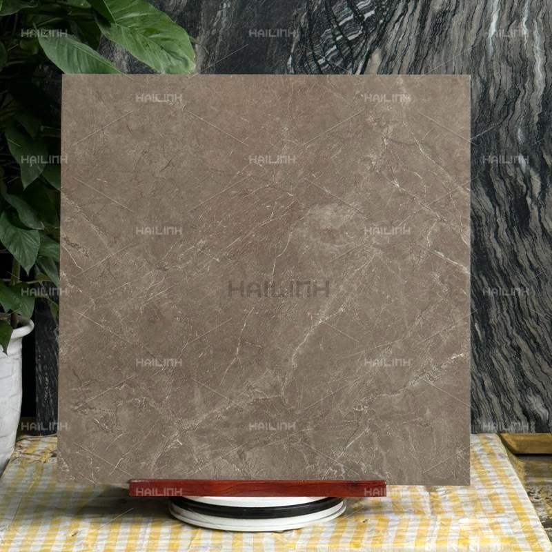 Ảnh Gạch Ấn Độ CSI88188 5