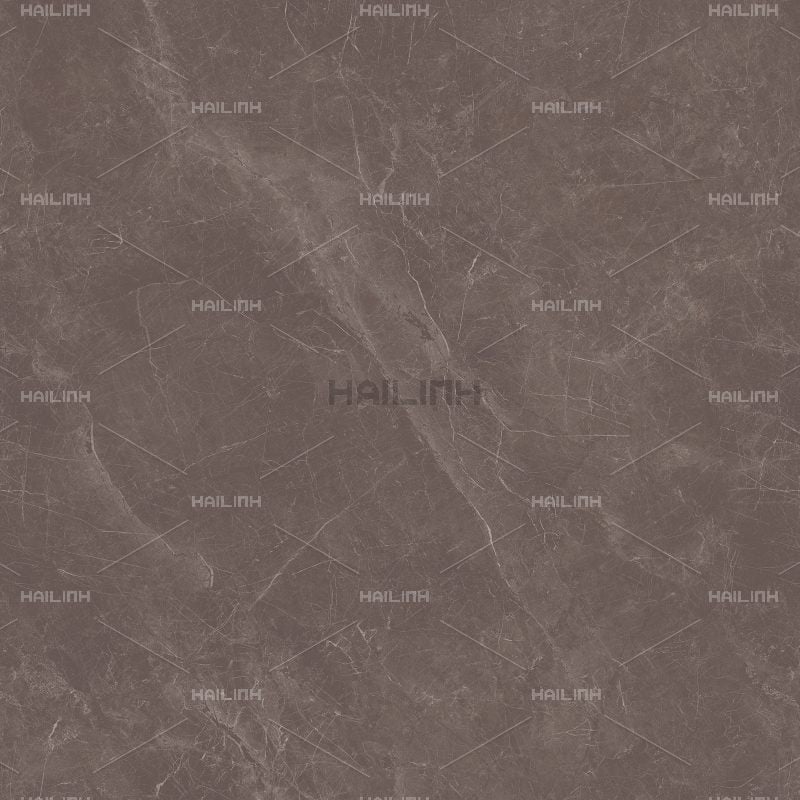 Ảnh Gạch Ấn Độ CSI88189 4