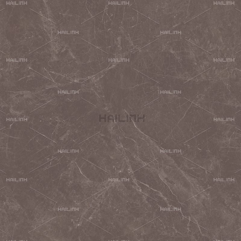 Ảnh Gạch Ấn Độ CSI88189 3