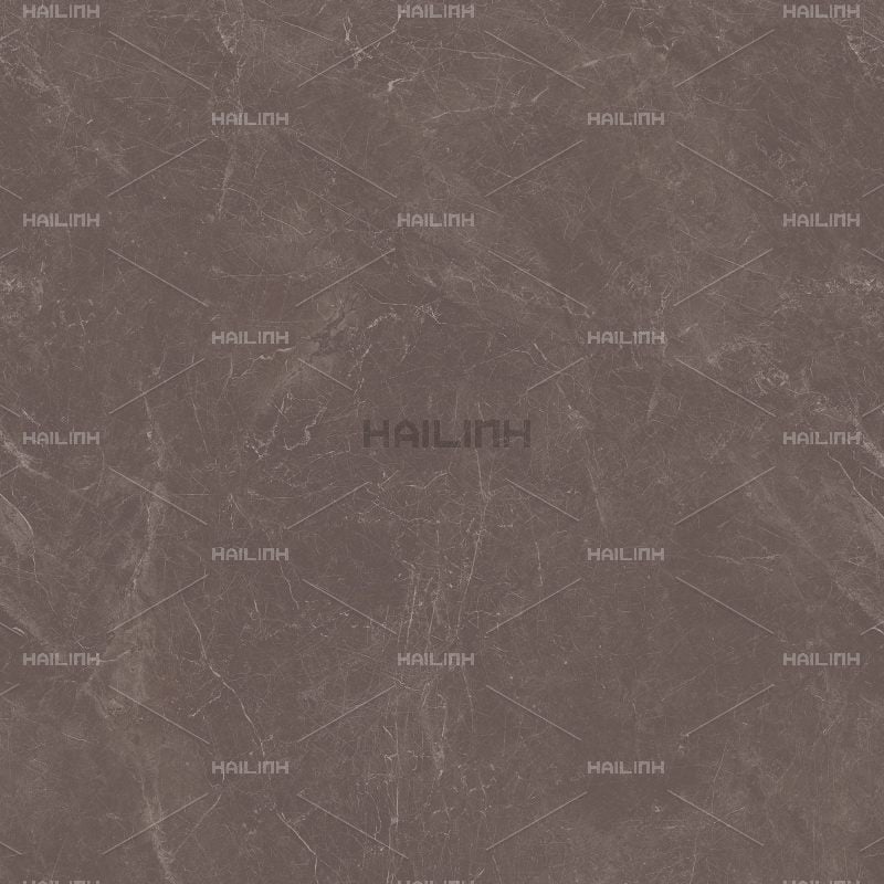 Ảnh Gạch Ấn Độ CSI88189 2