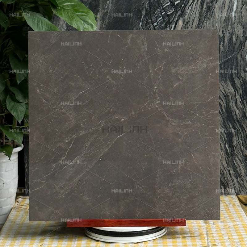 Ảnh Gạch Ấn Độ CSI88189 5