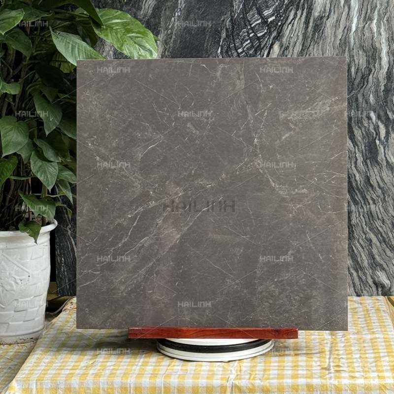 Ảnh Gạch Ấn Độ CSI88189 7