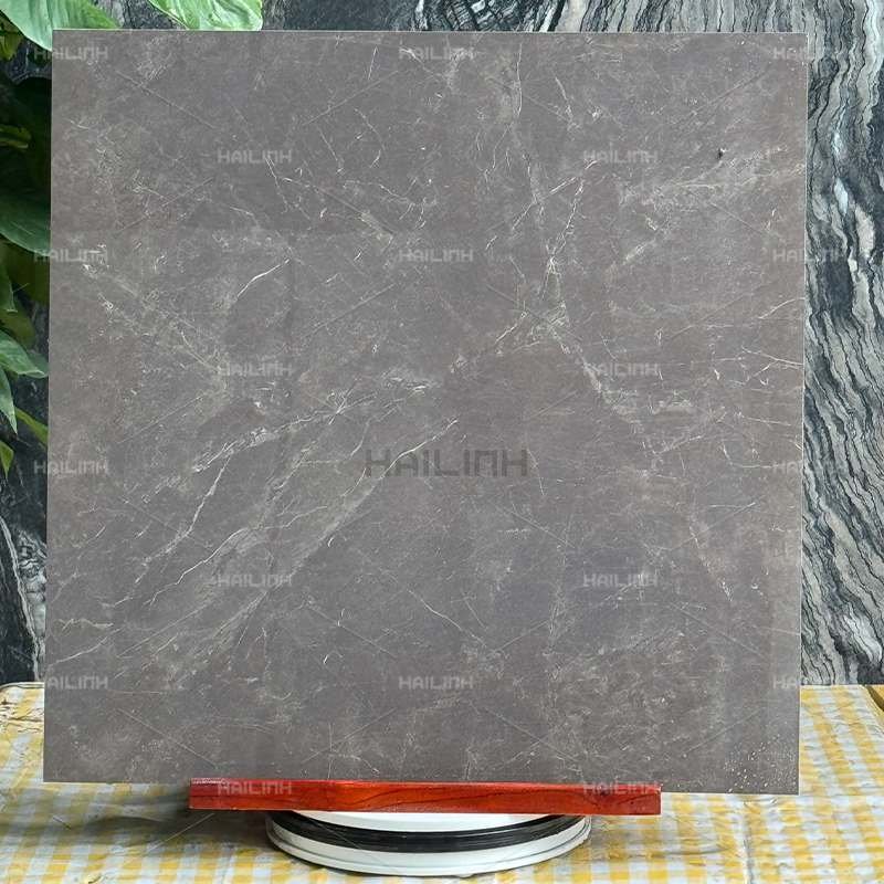 Ảnh Gạch Ấn Độ CSI88189 7