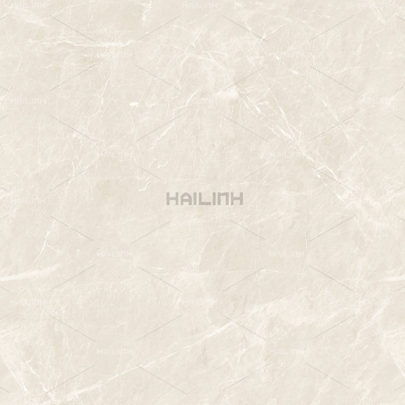 Ảnh Gạch Ấn Độ CSI88190 4