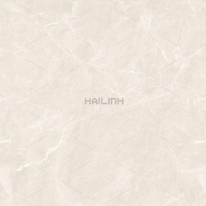 Ảnh Gạch Ấn Độ CSI88190 2