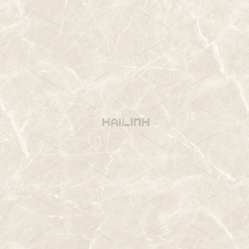 Ảnh Gạch Ấn Độ CSI88190 3