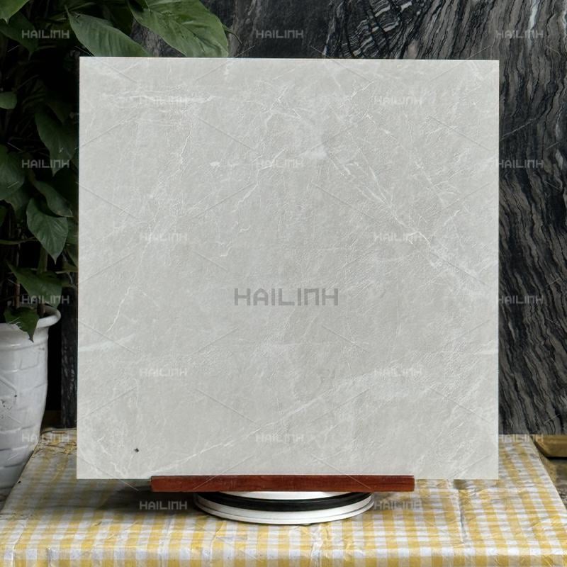 Ảnh Gạch Ấn Độ CSI88190 5