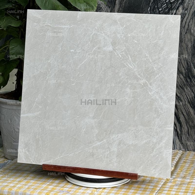 Ảnh Gạch Ấn Độ CSI88190 6