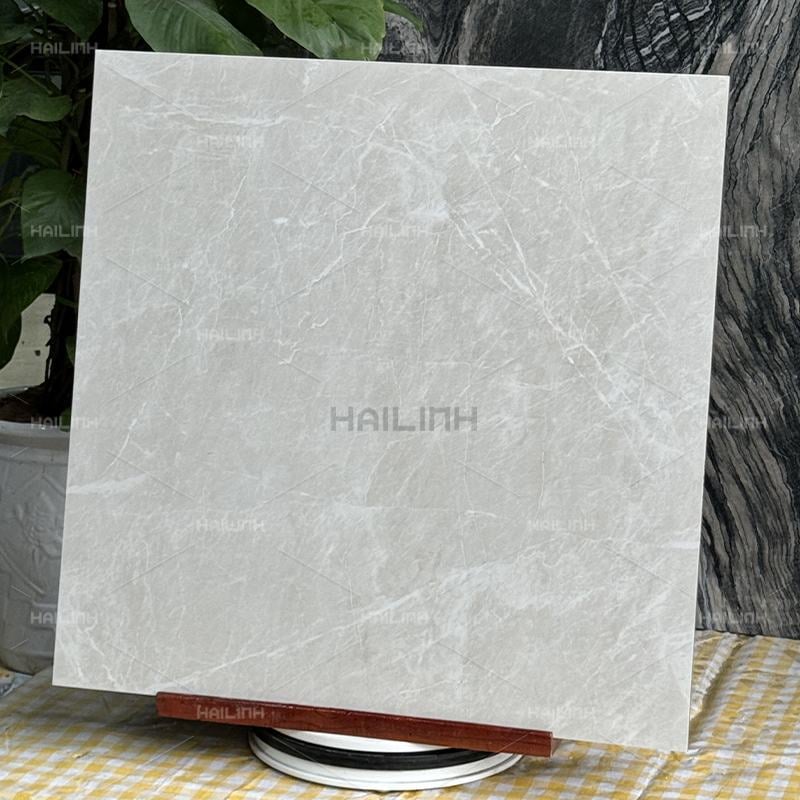 Ảnh Gạch Ấn Độ CSI88190 7