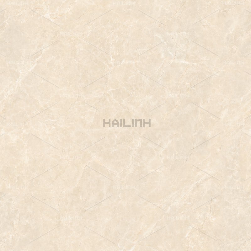 Ảnh Gạch Ấn Độ CSI88191 3