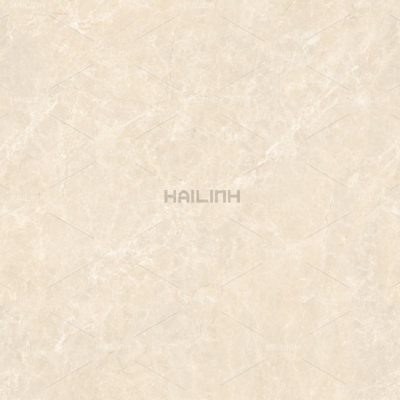 Ảnh Gạch Ấn Độ CSI88191 3