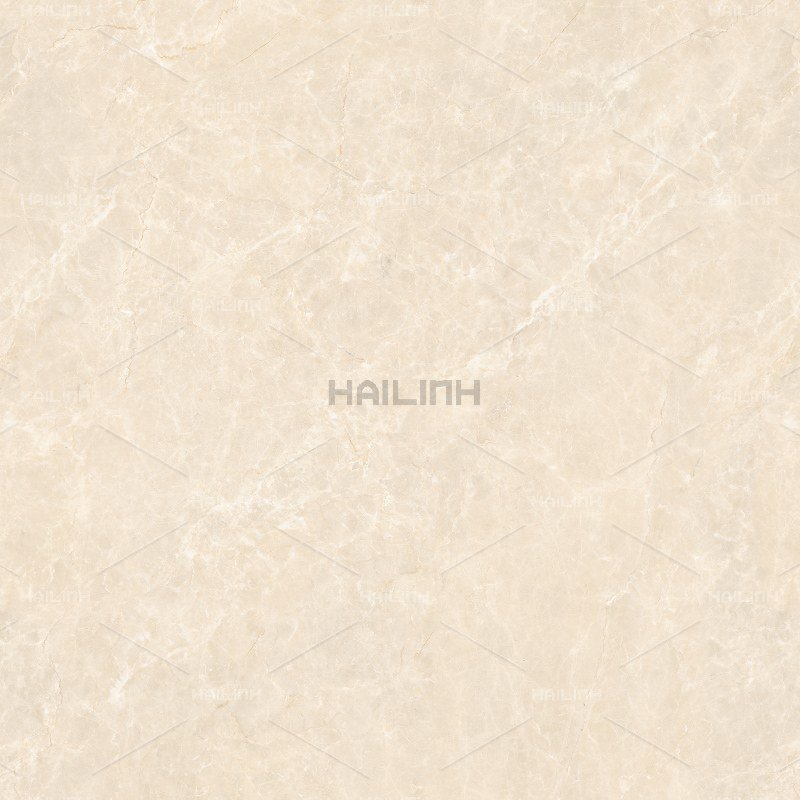 Ảnh Gạch Ấn Độ CSI88191 3