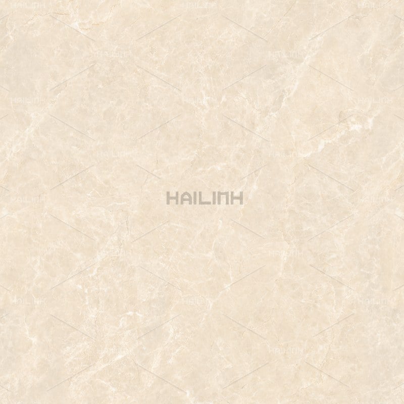 Ảnh Gạch Ấn Độ CSI88191 4