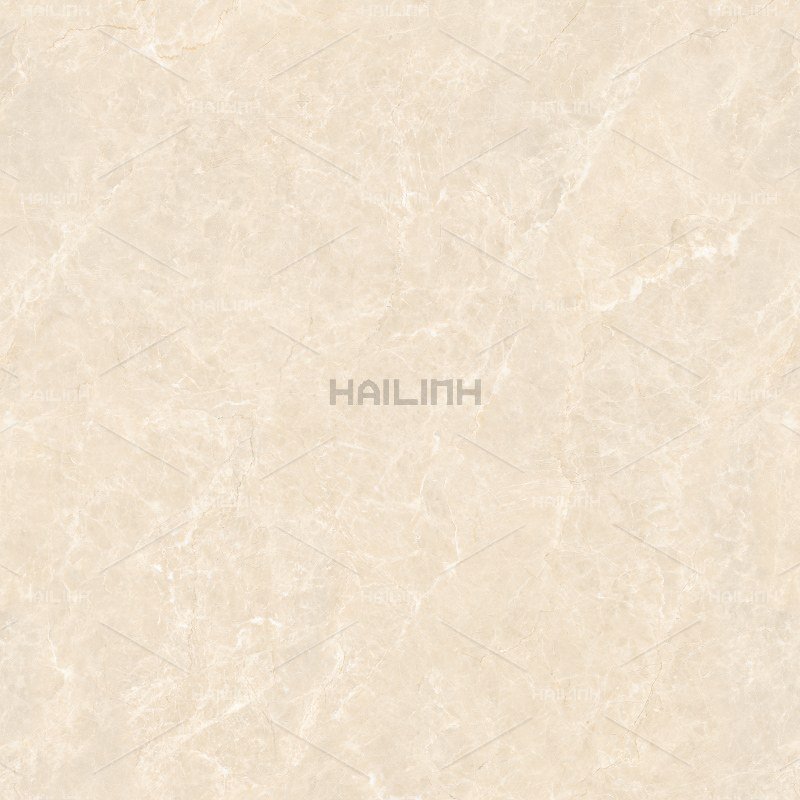 Ảnh Gạch Ấn Độ CSI88191 4