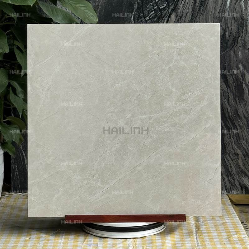 Ảnh Gạch Ấn Độ CSI88191 5