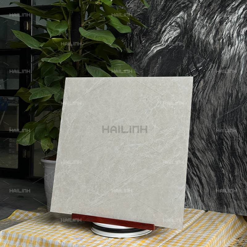 Ảnh Gạch Ấn Độ CSI88191 6