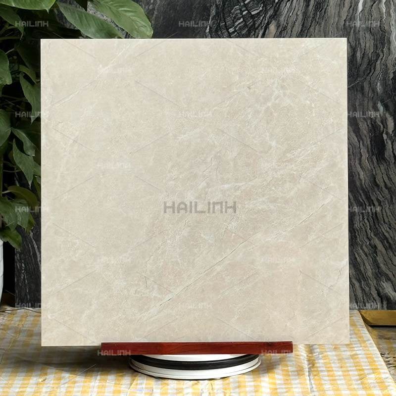 Ảnh Gạch Ấn Độ CSI88191 7