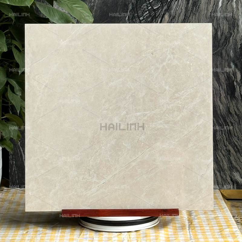 Ảnh Gạch Ấn Độ CSI88191 7