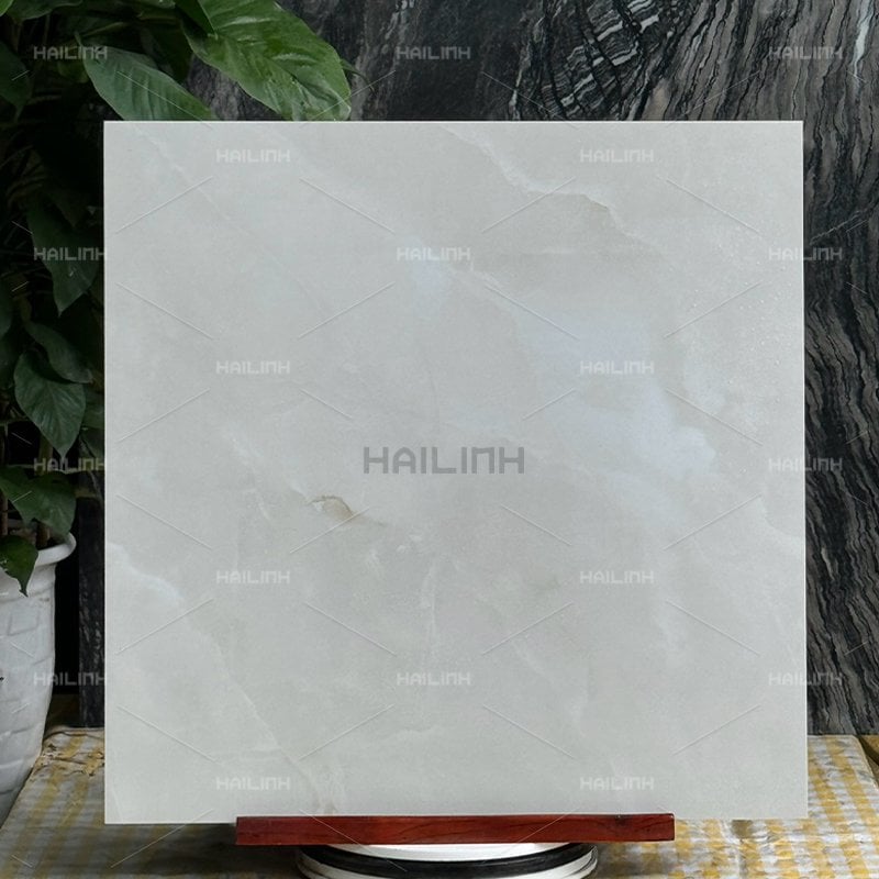 Ảnh Gạch Ấn Độ CSI88192 5