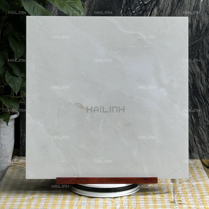 Ảnh Gạch Ấn Độ CSI88192 6