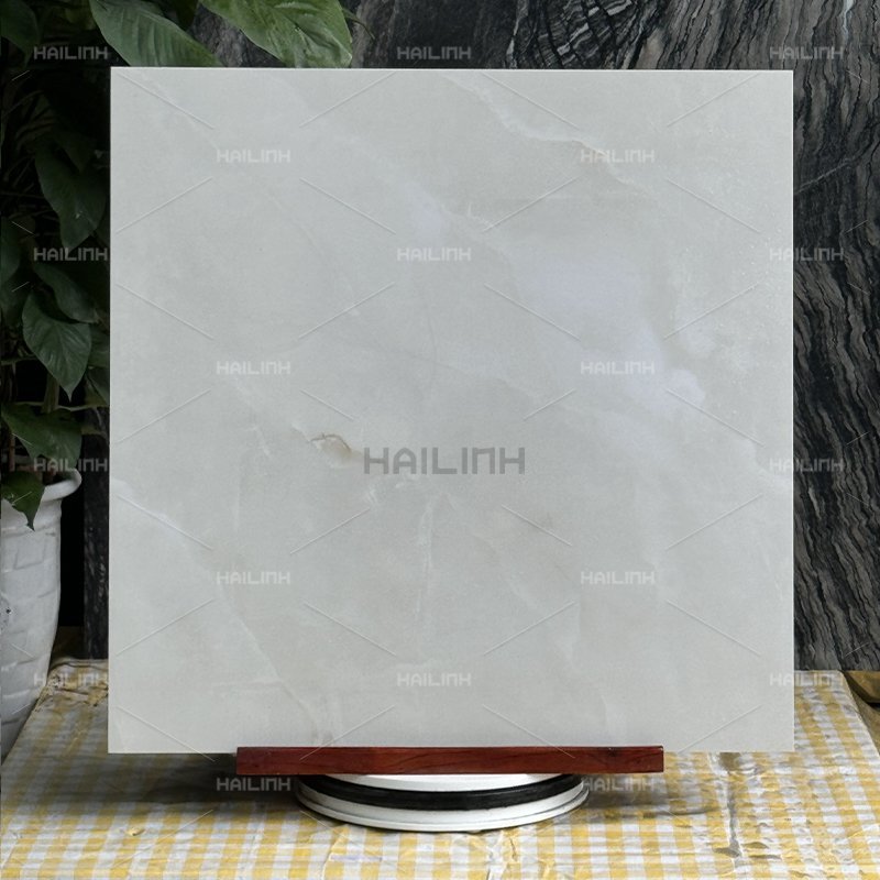 Ảnh Gạch Ấn Độ CSI88192 6