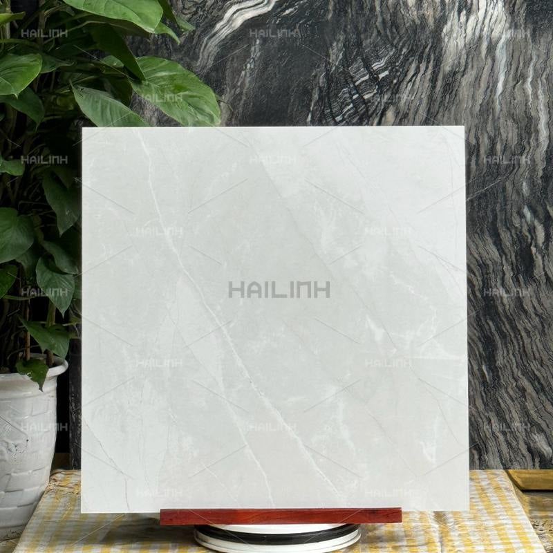 Ảnh Gạch Ấn Độ CSI88193 6