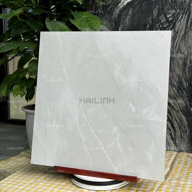 Ảnh Gạch Ấn Độ CSI88193 7