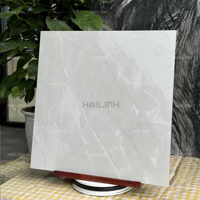 Ảnh Gạch Ấn Độ CSI88193 8