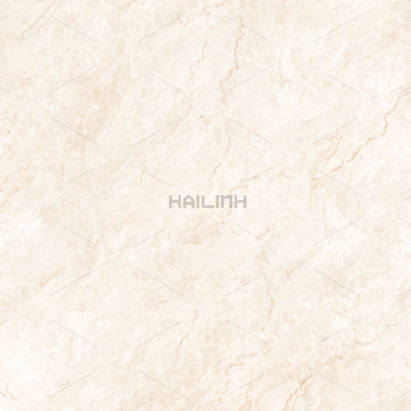 Ảnh Gạch Ấn Độ CSI88194 2