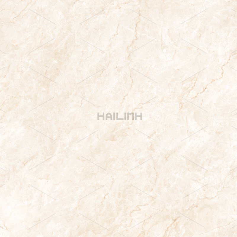 Ảnh Gạch Ấn Độ CSI88194 2