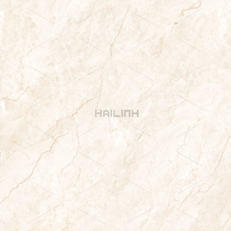 Ảnh Gạch Ấn Độ CSI88194 3