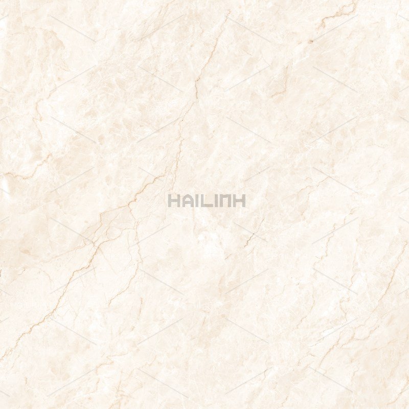 Ảnh Gạch Ấn Độ CSI88194 3