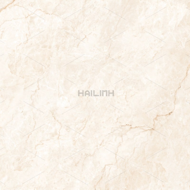 Ảnh Gạch Ấn Độ CSI88194 4