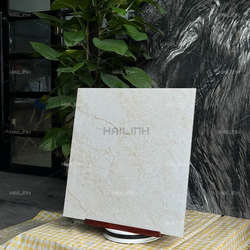 Ảnh Gạch Ấn Độ CSI88194 5