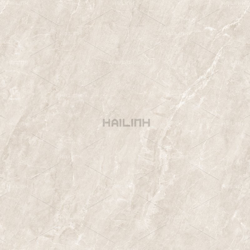 Ảnh Gạch Ấn Độ CSI88195 2