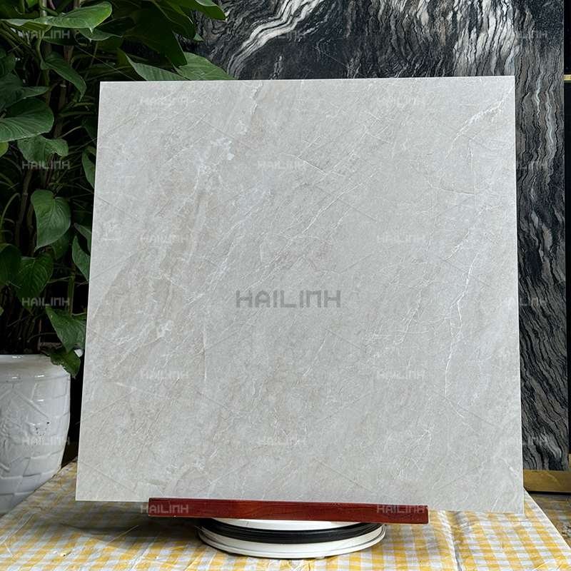 Ảnh Gạch Ấn Độ CSI88195 5