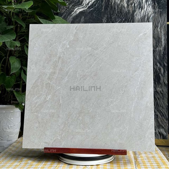Ảnh Gạch Ấn Độ CSI88195 6