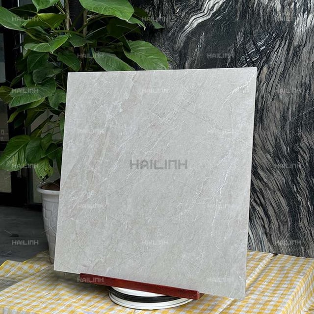Ảnh Gạch Ấn Độ CSI88195 7