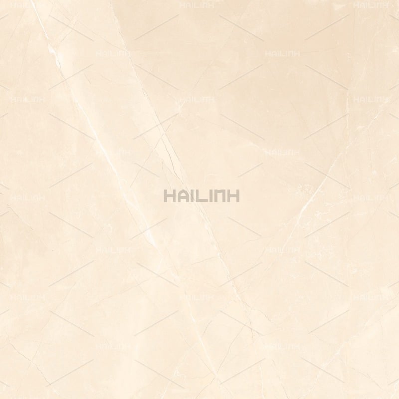 Ảnh Gạch Ấn Độ CSI88196 4