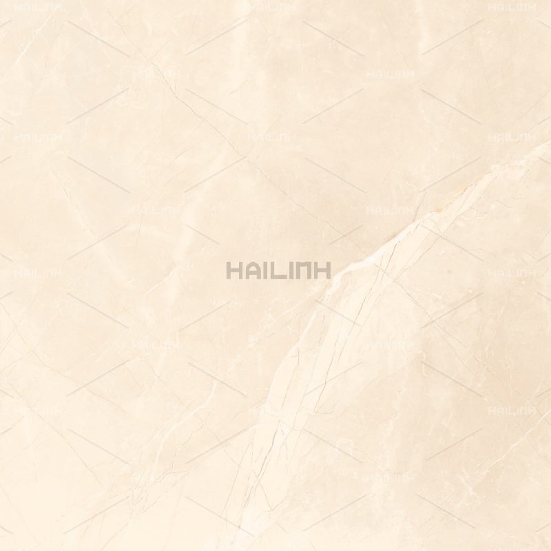 Ảnh Gạch Ấn Độ CSI88196 2