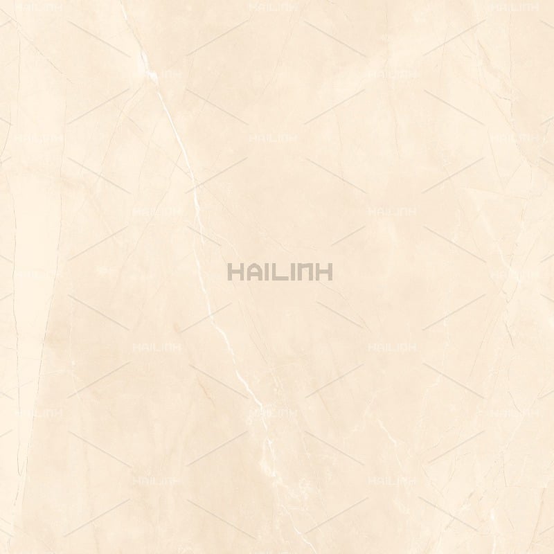 Ảnh Gạch Ấn Độ CSI88196 3