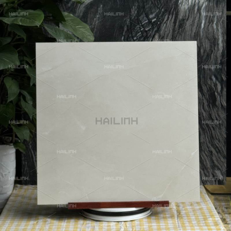 Ảnh Gạch Ấn Độ CSI88196 5