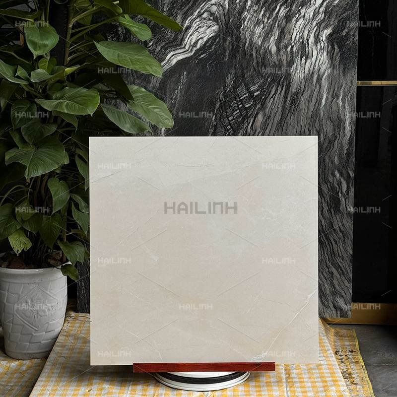 Ảnh Gạch Ấn Độ CSI88196 6