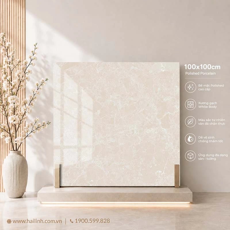 Ảnh Gạch Ấn Độ CSI100202B 2